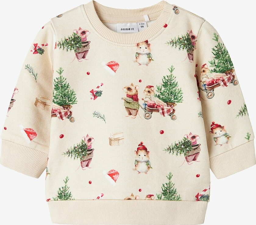 Collegegenser Nbnrenu LS Sweat Bru - Beige