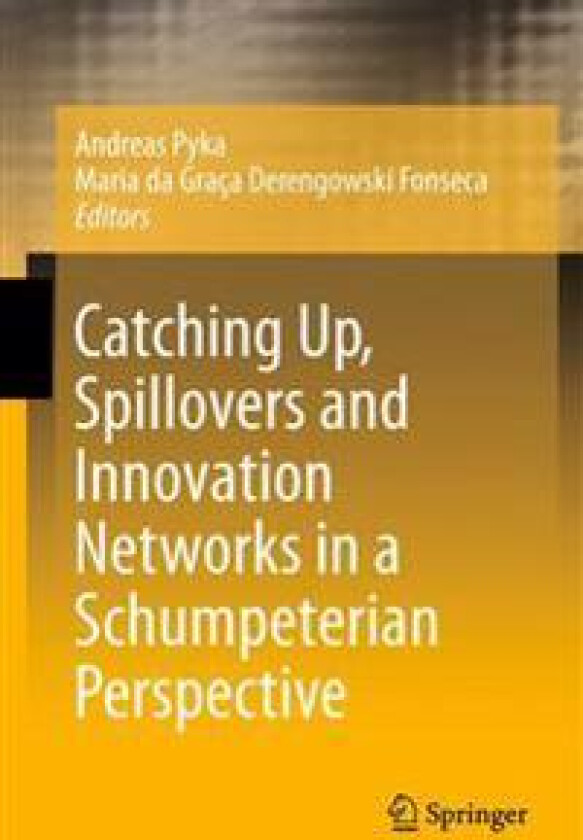 Catching Up, Spillovers and Innovation Networks in a Schumpeterian Perspective