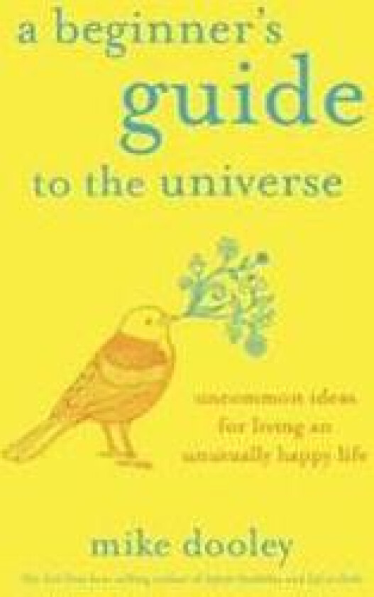 A Beginner's Guide to the Universe