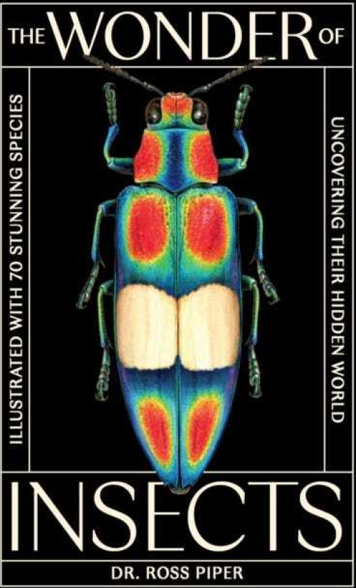 The Wonder of Insects: Uncovering their Hidden World Fully Illustrated with 70 Stunning Species