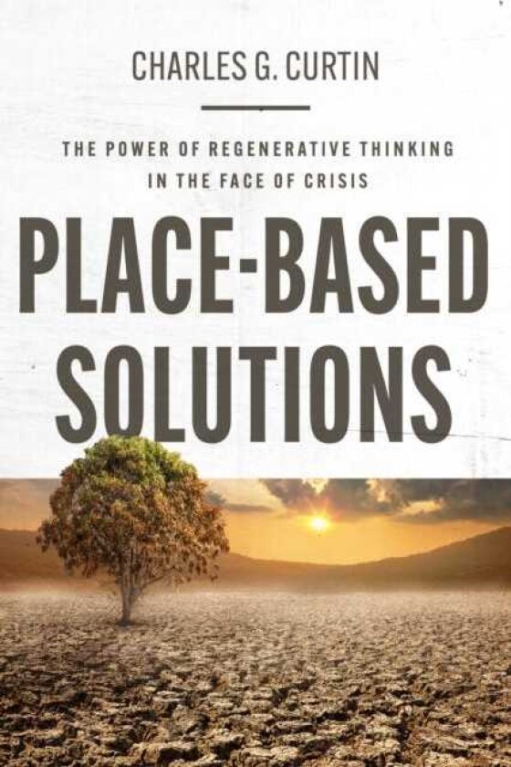 PlaceBased Solutions The Power of Regenerative Thinking in the Face of Crisis