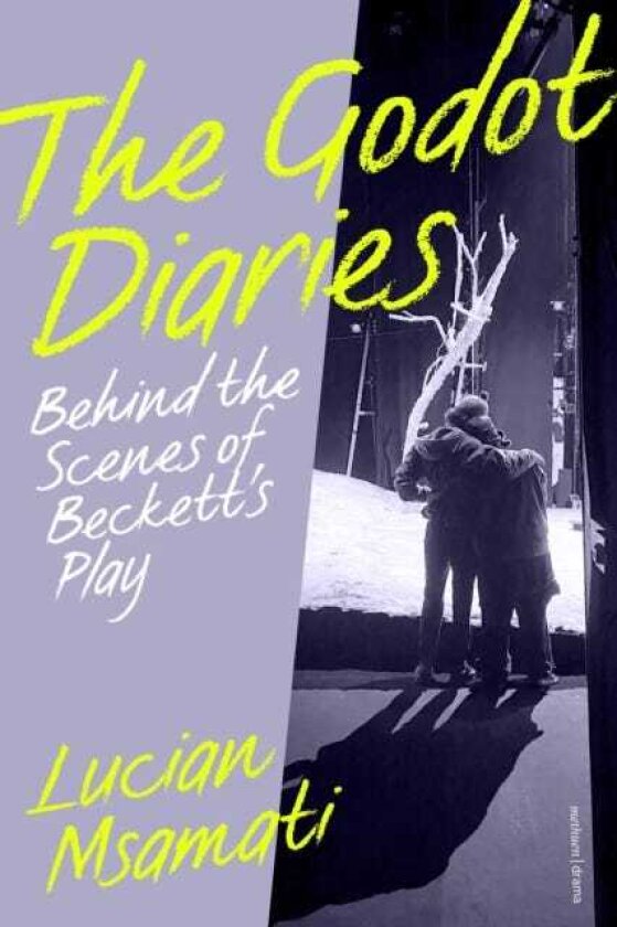 The Godot Diaries Behind the Scenes of Beckett's Play