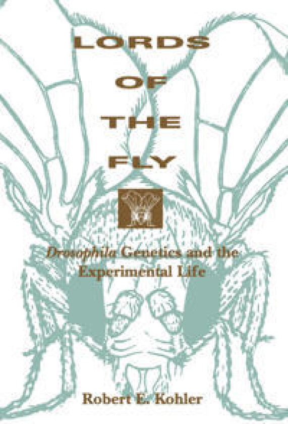 Lords of the Fly