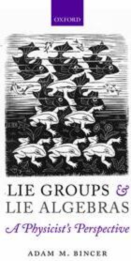 Lie Groups and Lie Algebras - A Physicist's Perspective