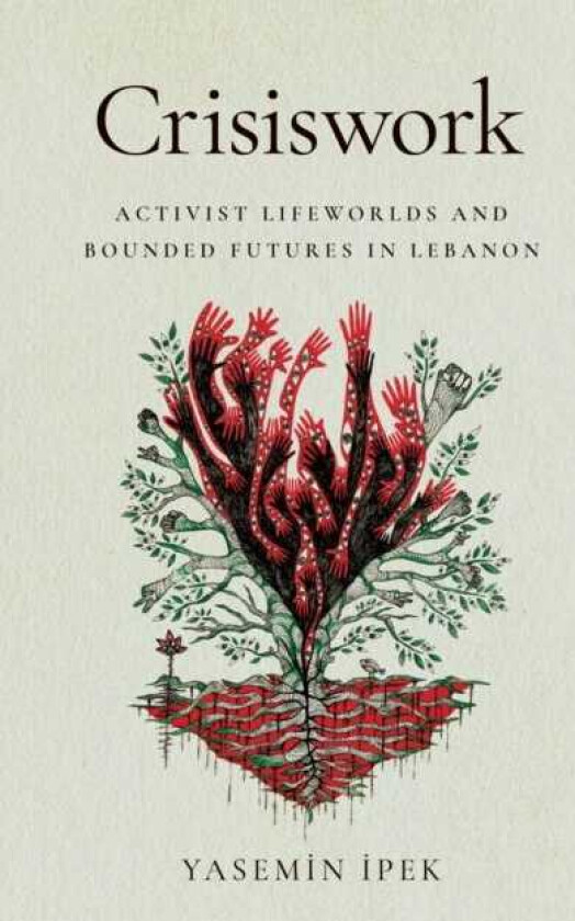 Crisiswork Activist Lifeworlds and Bounded Futures in Lebanon