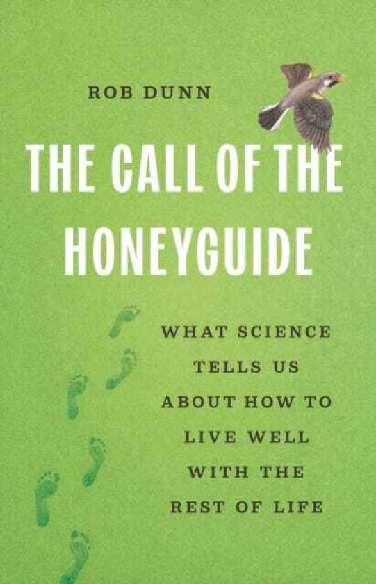 The Call of the Honeyguide What Science Tells Us about How to Live Well with the Rest of Life
