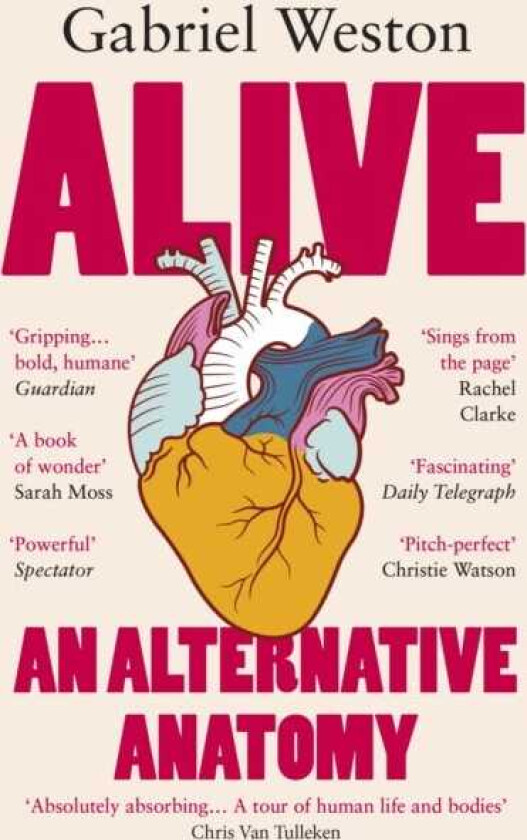 Alive An Alternative Anatomy