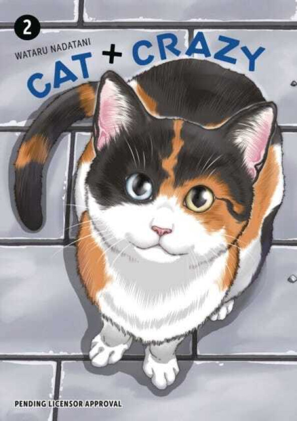 Cat + Crazy Volume 2