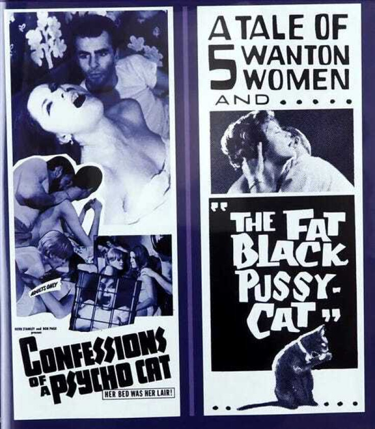 Confessions of a Psycho Cat (1967) + The Fat Black Pussy Cat (1963) Bluray