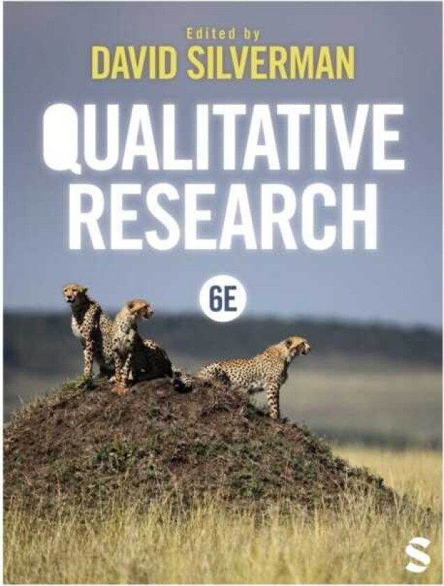 Qualitative Research