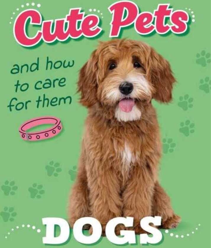 Cute Pets! And How to Care For Them: Dogs