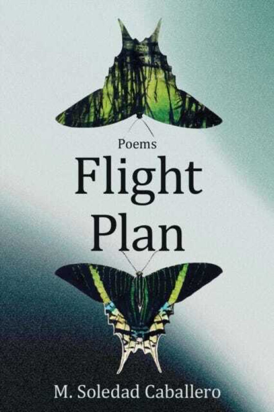 Flight Plan Poems