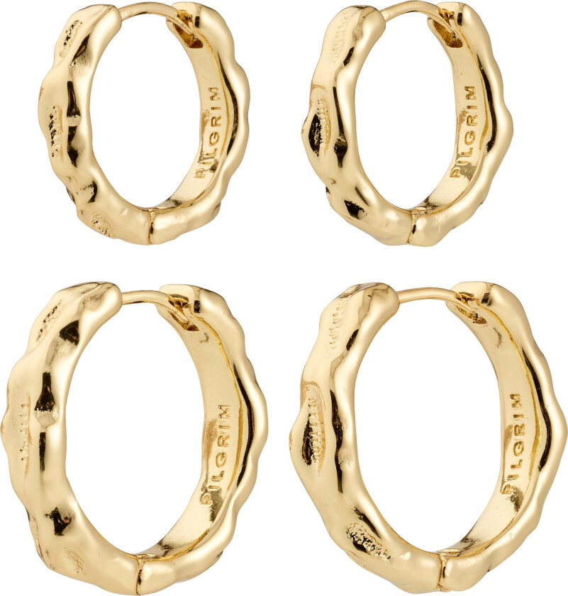 DARBY øredobber, 2-i-ett sett, gullbelagt