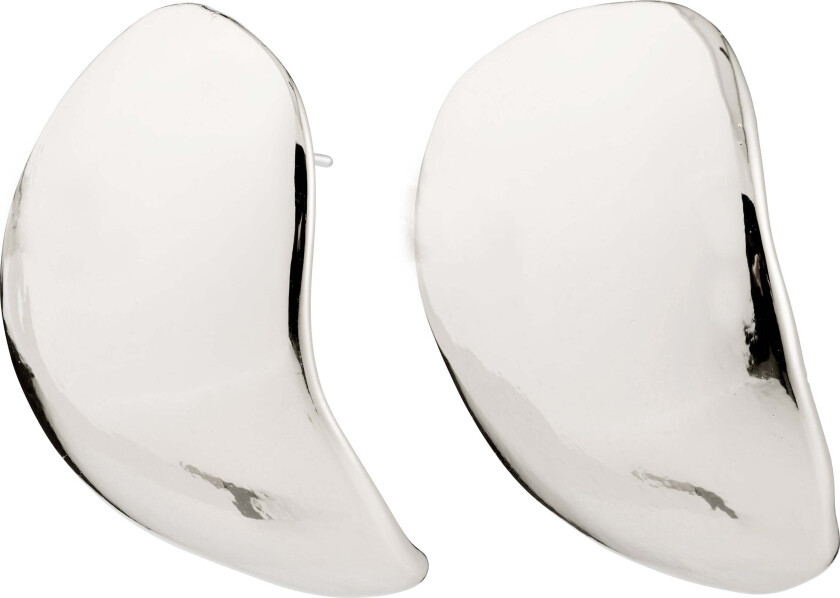 SPARKLE øredobber sølvbelagt