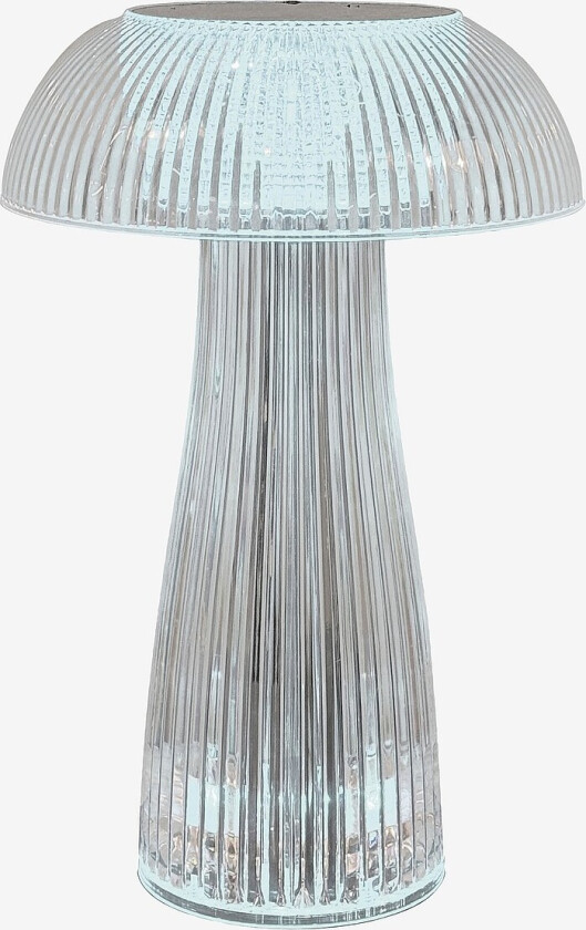 Bordlampe Fungi - Transparent
