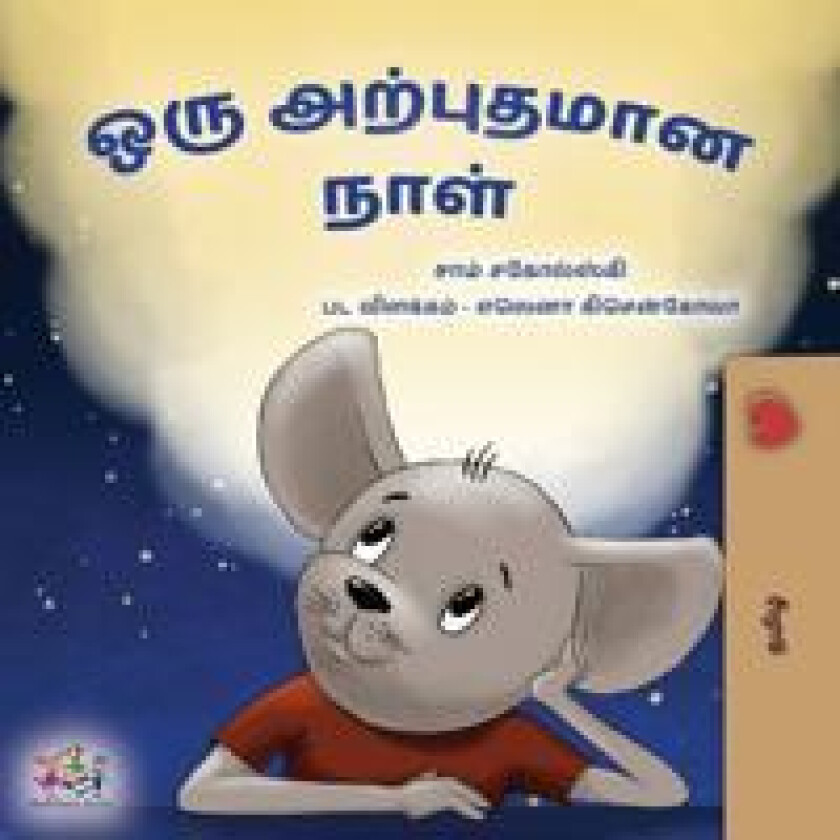 A Wonderful Day (Tamil Children's Book)
