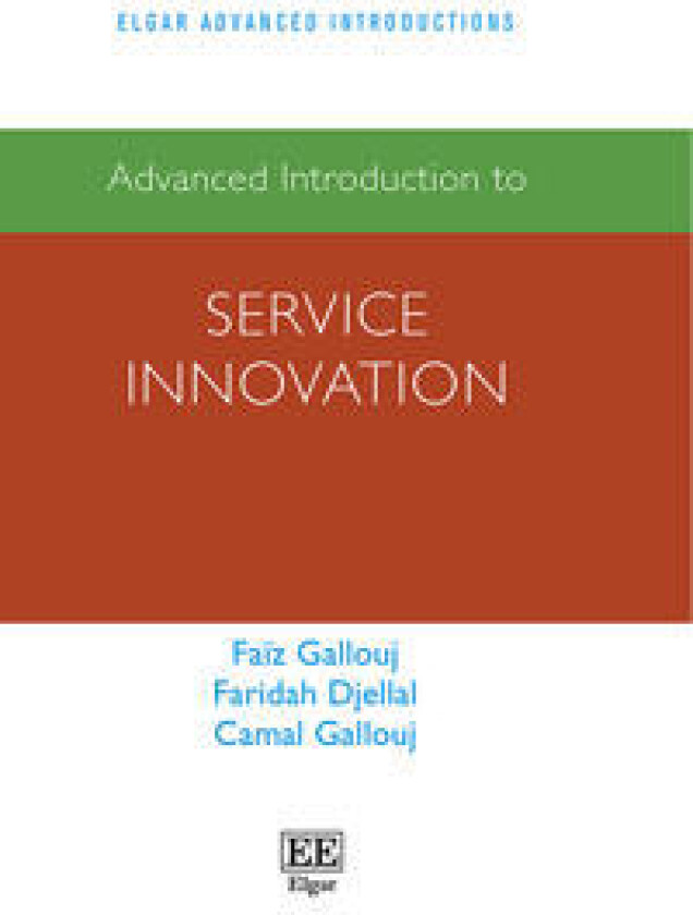 Advanced Introduction to Service Innovation