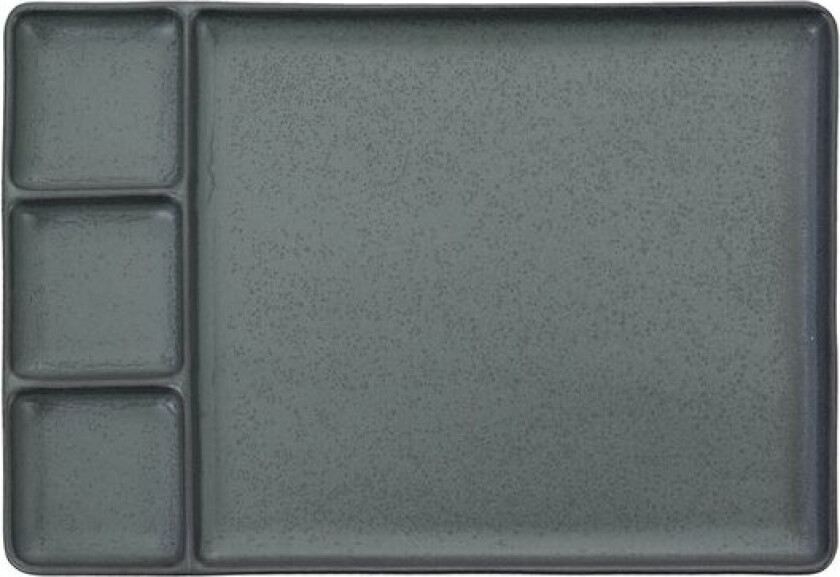 RAW tapas-/sushitallerken 31,5x21,5 cm northern green