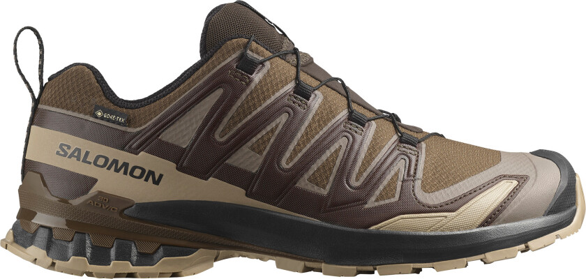 Men's XA 3D Pro V9 GORE-TEX Dark Earth/Desert Tan/Black
