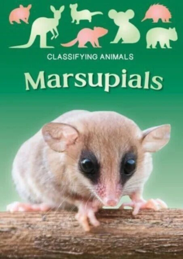 Marsupials av Madeline Tyler