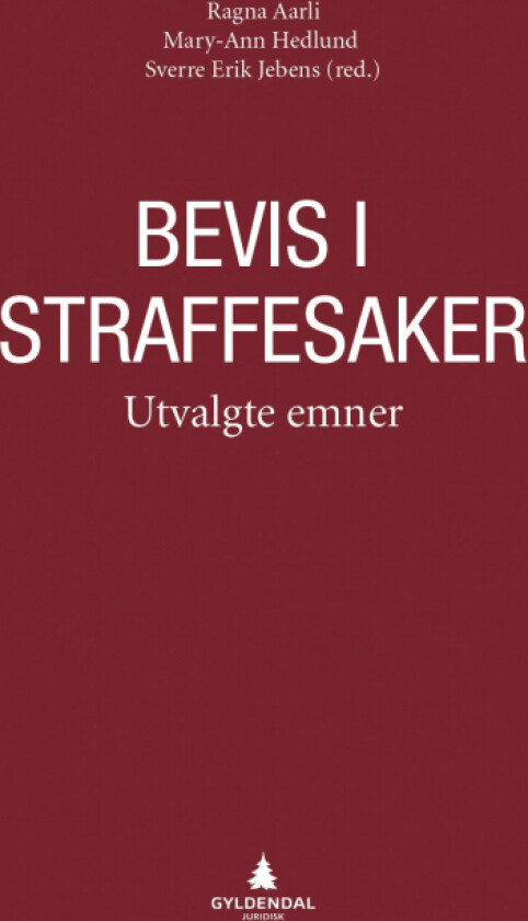 Bevis i straffesaker