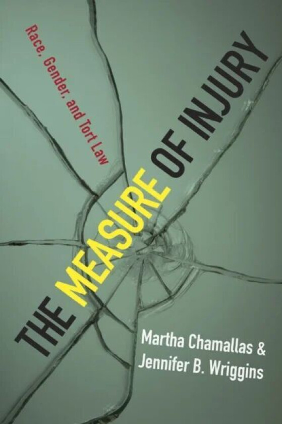 The Measure of Injury av Martha Chamallas, Jennifer B. Wriggins