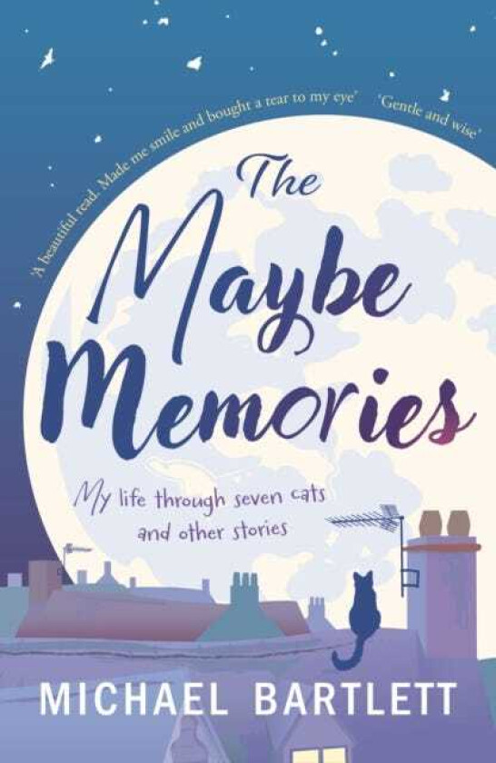 The Maybe Memories my life through seven cats, and other stories