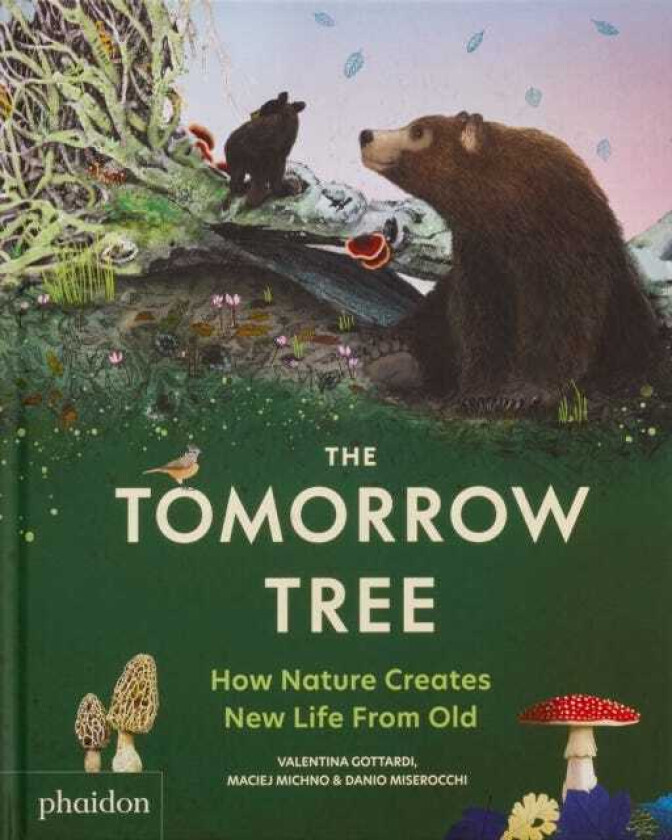 The Tomorrow Tree How Nature Creates New Life From Old