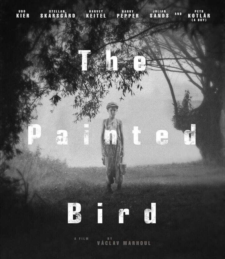 Painted Bird Bluray