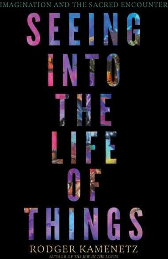 Seeing into the Life of Things Imagination and the Sacred Encounter