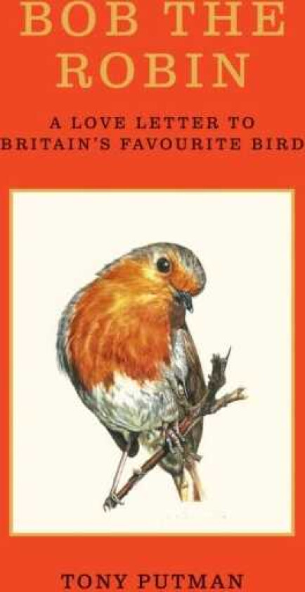 Bob the Robin A love letter to Britain’s favourite bird