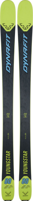 Youngstar Ski 160cm