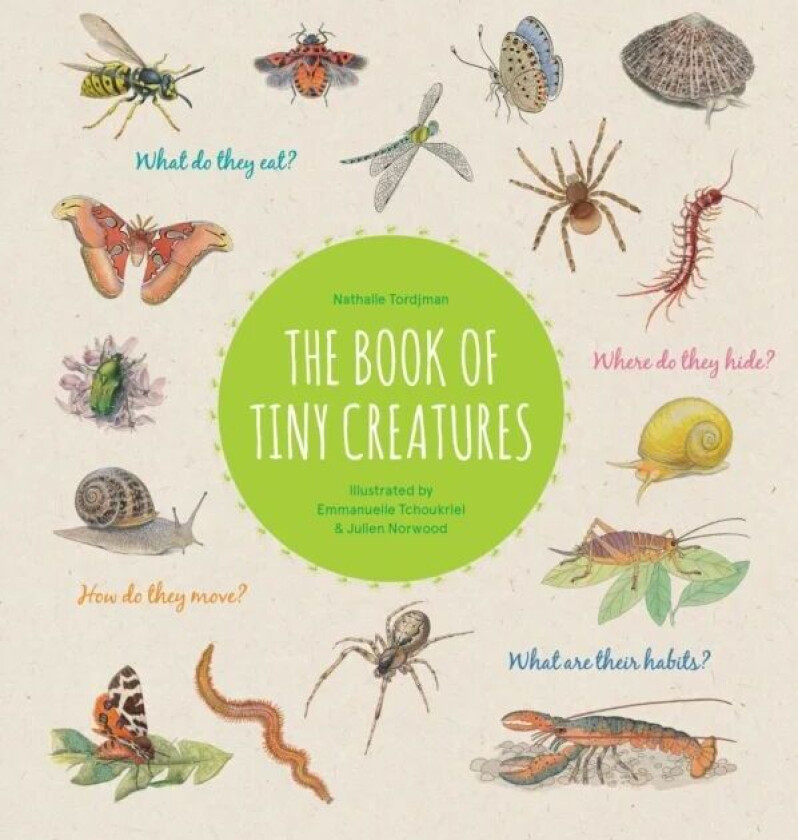 The Book of Tiny Creatures av Nathalie Tordjman