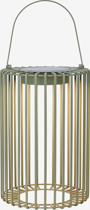 Solcellelykt Cavia - Grønn