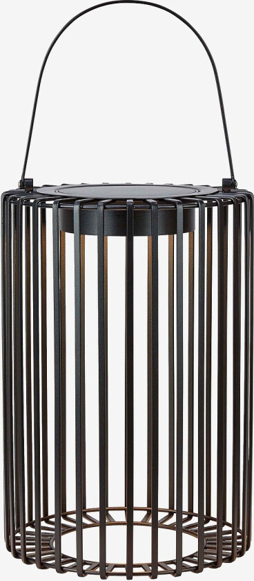 Solcellelykt Cavia - Svart