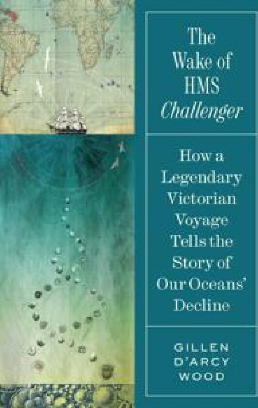 The Wake of HMS Challenger