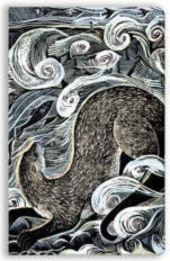 Angela Harding: Shetland Otter, Shetland Sea (Soft Touch Journal)