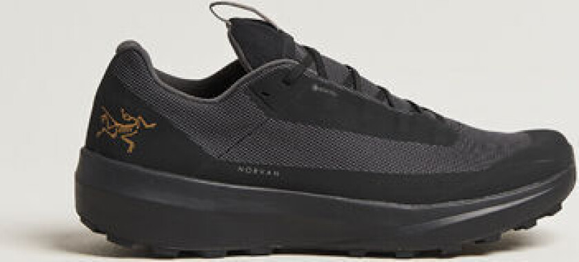 Norvan LD 4 Gore Tex Trail Running Sneaker Black