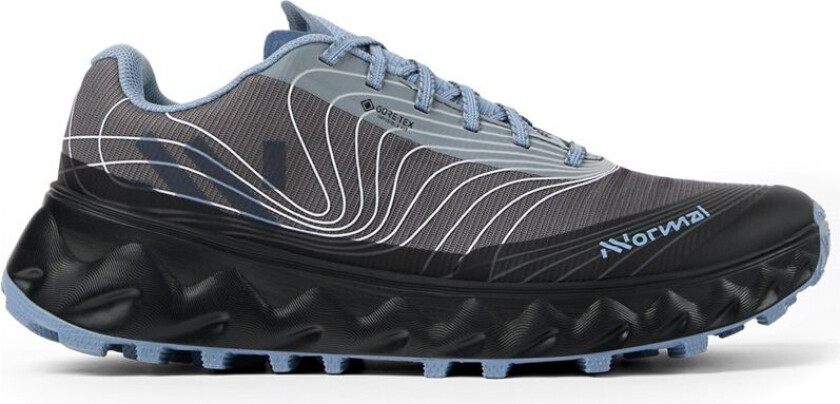 Tomir 2.0 GTX Shoe Blue/Grey