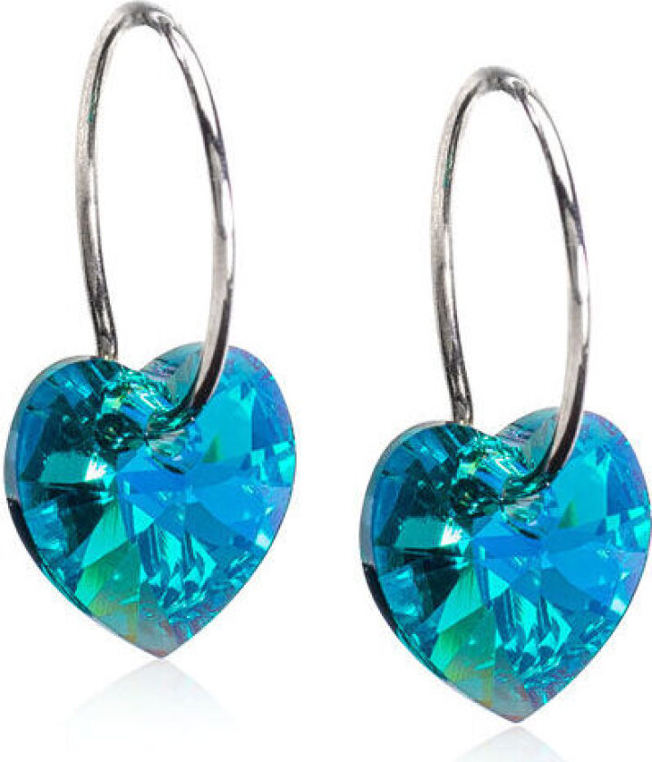 Nt Heart Titanium Øredobber Med Krystal 15-1255-11