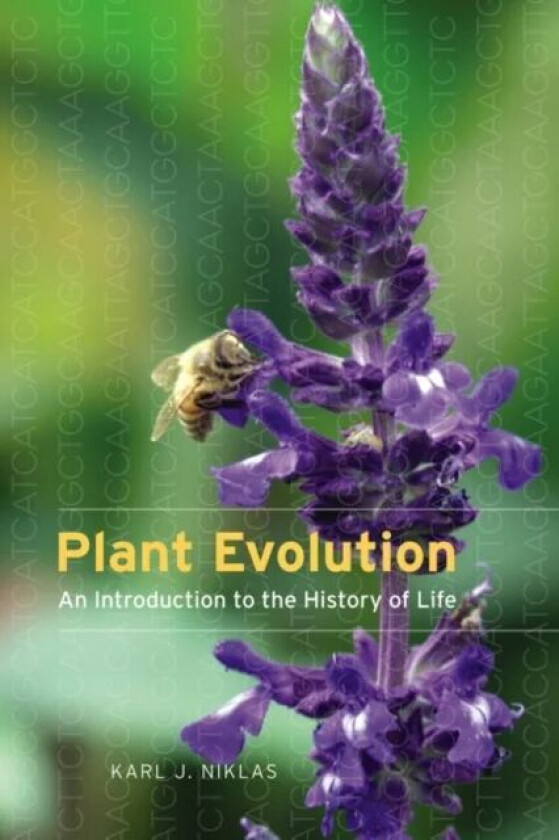 Plant Evolution av Karl J. Niklas