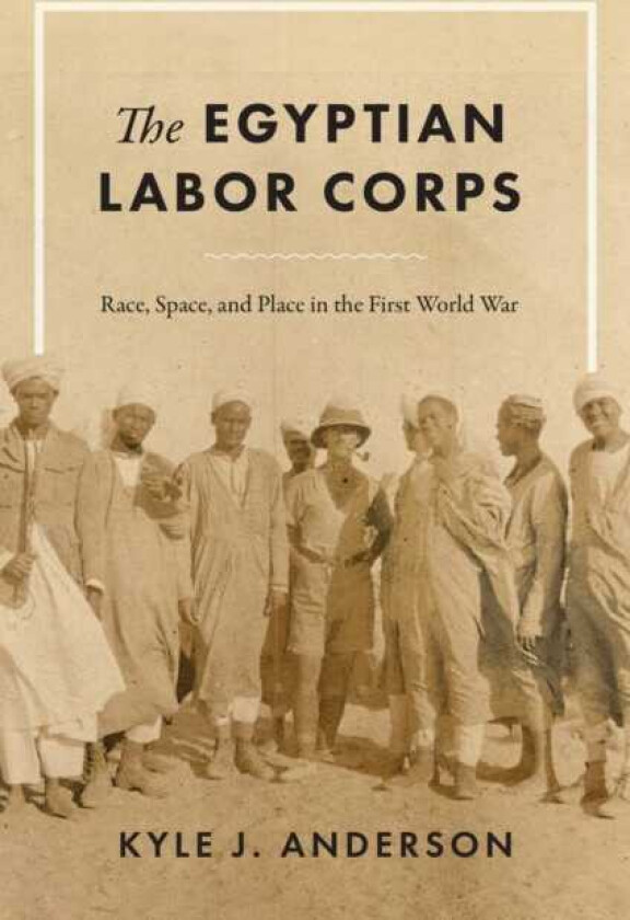 The Egyptian Labor Corps Race, Space, and Place in the First World War