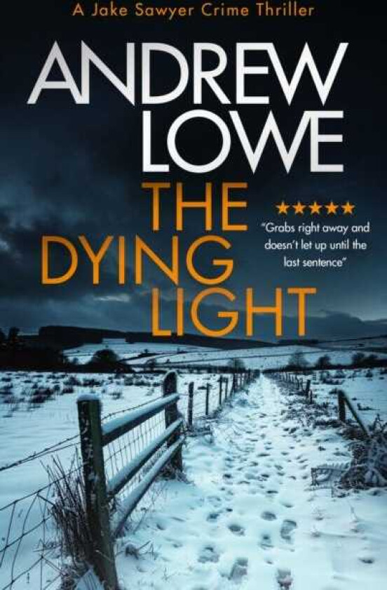 The Dying Light A pageturning, chilling British crime novel with twists