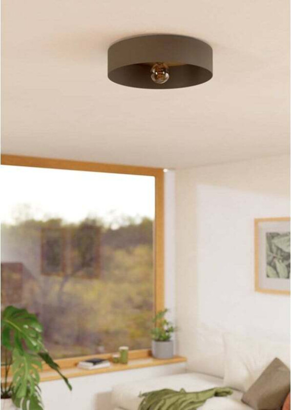 DUAIA TAKLAMPE UMBRA GRÅ/NATURLIG OPTIKK/BM FSC