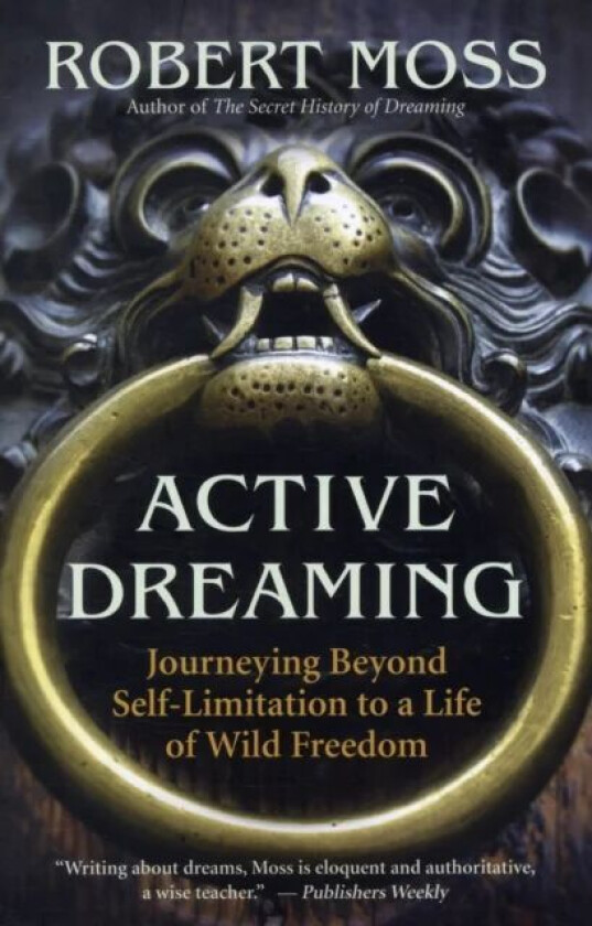 Active Dreaming av Robert Moss