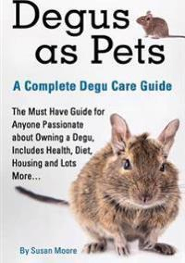 Degus as Pets