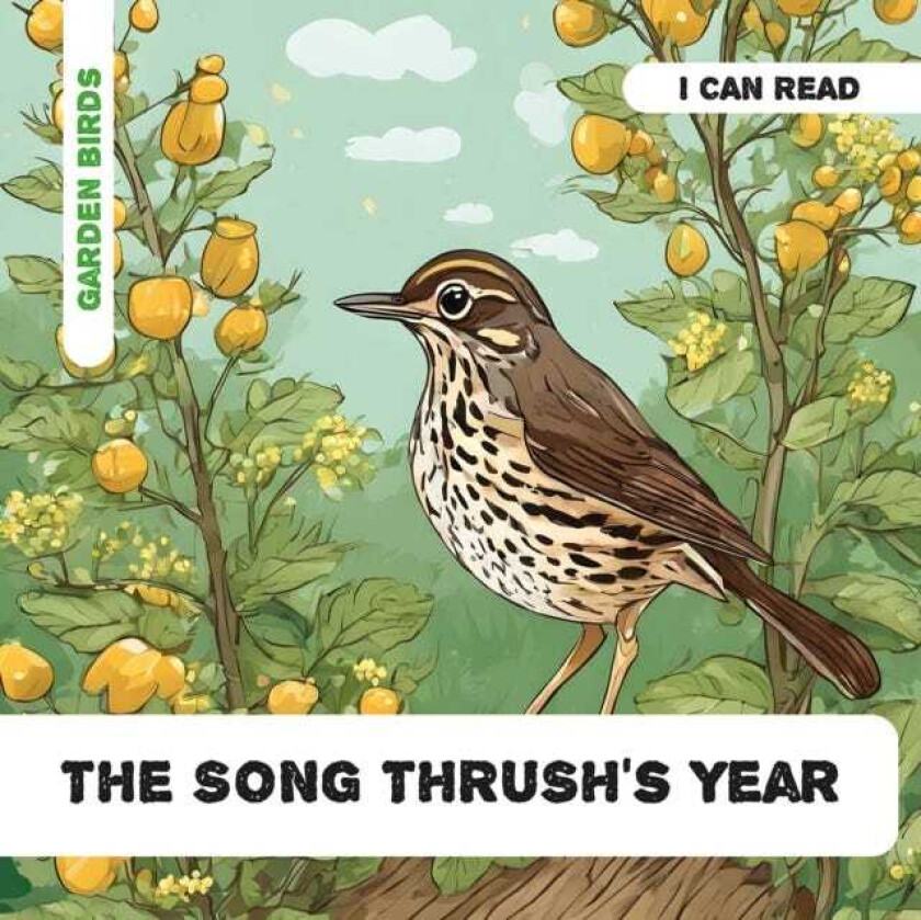 The Song Thrush's Year Decodable Phonics Reader (Ages 57)