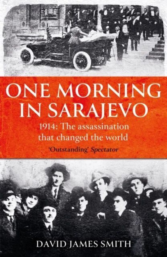 One Morning In Sarajevo av David James Smith