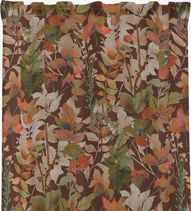 Palermo multilengder, Brun