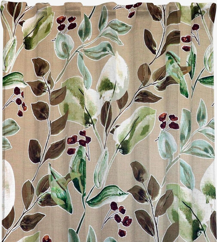 Odessa multilengder, Brun